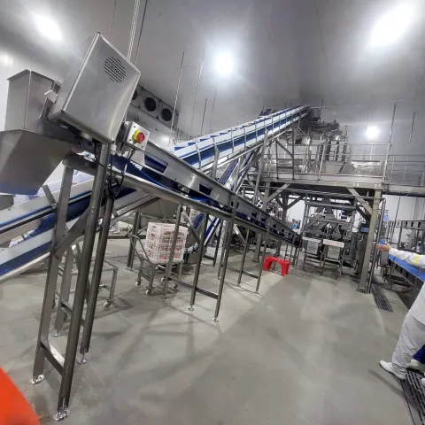 Estrutura de esteiras montada em uma planta industrial