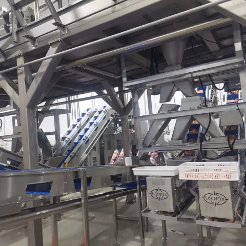 Estruturas e esteiras montadas em uma planta industrial